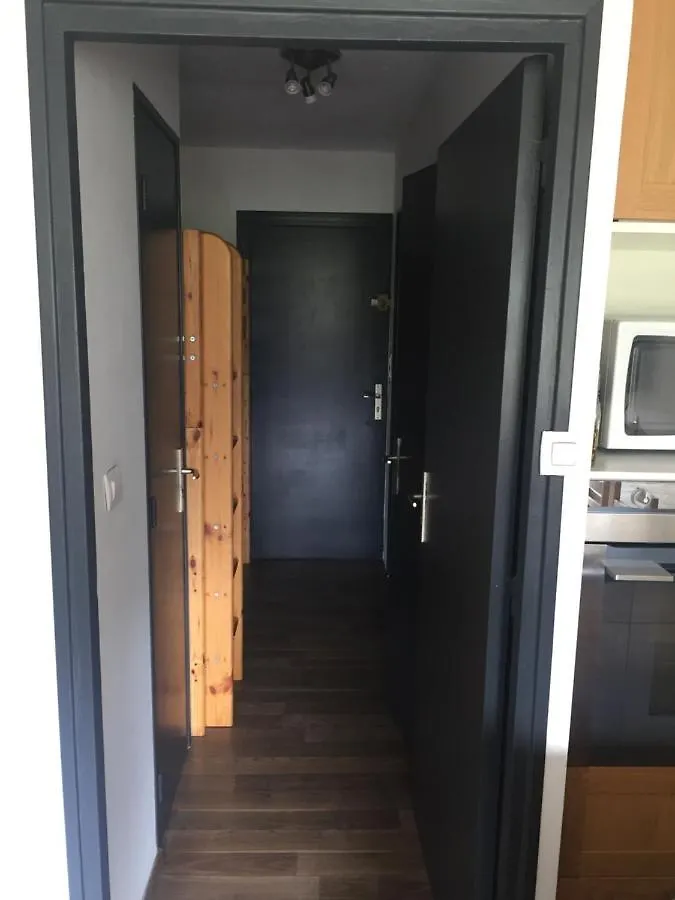 Apartment Appartement 4 Personnes Au Pied Des Pistes Des Deux Alpes Les Deux Alpes France